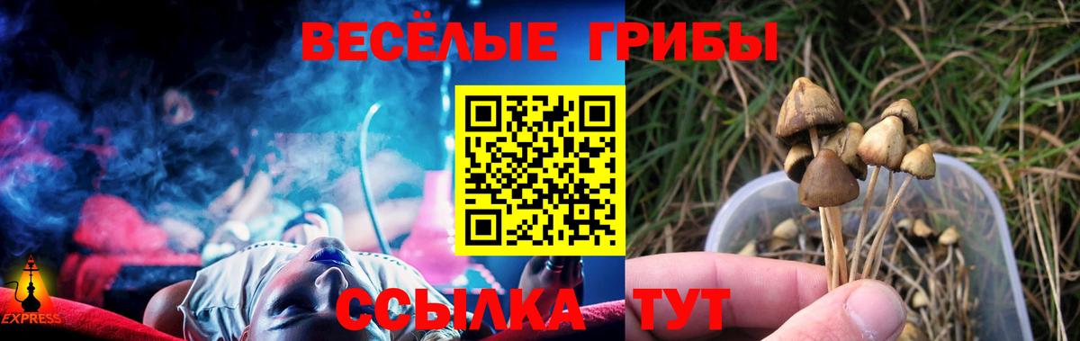 Галлюциногенные грибы Psilocybe  Галлюциногенные грибы Magic Shrooms  Вход с VPN  Армавир 
